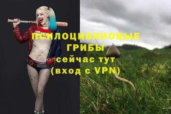 mdpv Гусев