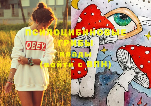 таблы Горняк