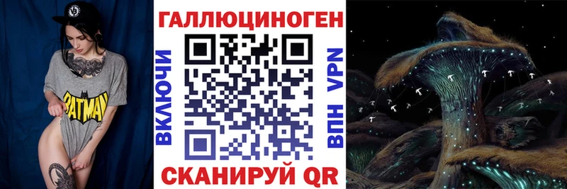 Псилоцибиновые грибы Psilocybe дарнет шоп Спас-Деменск